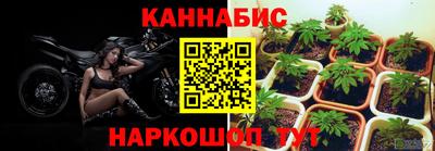 шишки Братск