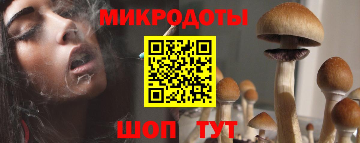 продажа наркотиков  Галлюциногенные грибы Psilocybe  Белебей  Вход с VPN  Галлюциногенные грибы прущие грибы 